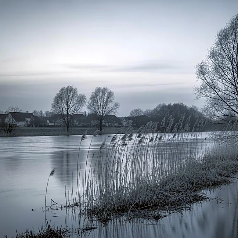 Flood Warning Issued for Chicago Suburbs Along Des Plaines River