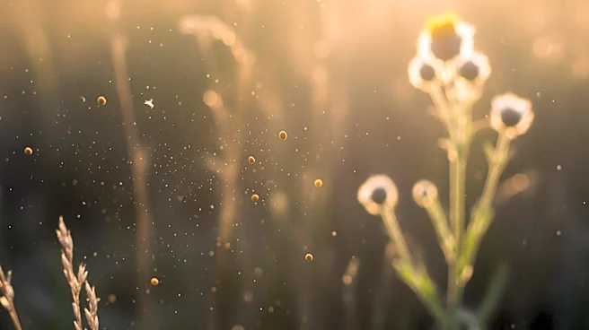 Climate Change Intensifies Hay Fever Symptoms Across the U.S.