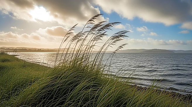 Windy Conditions in San Francisco Bay Area to Ease by Friday