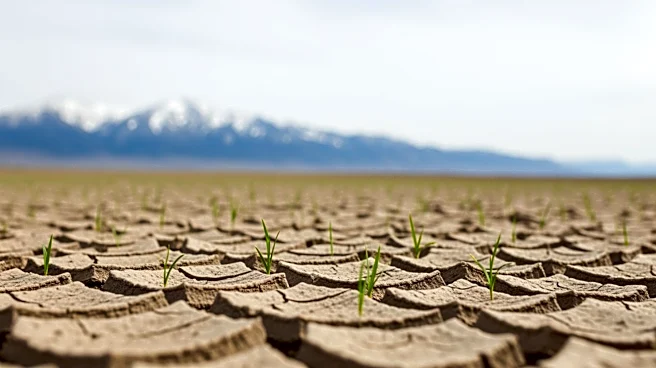 Low Snowpack Poses Challenges for Western US Agriculture