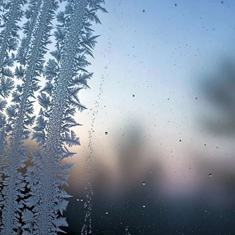 Frost Advisory in Effect for Detroit Through Sunday Morning