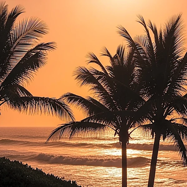 Warm and Breezy Conditions Expected in South Florida This Weekend