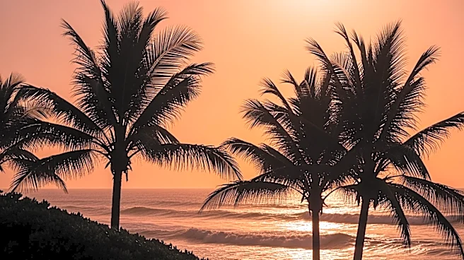 Warm and Breezy Conditions Expected in South Florida This Weekend