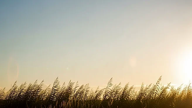 Sacramento Weather Forecast: Clear Skies and Mild Temperatures