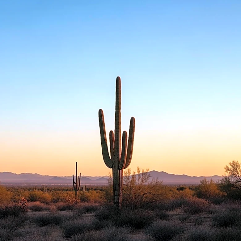 Tucson Weather Forecast: Clear Skies and Mild Temperatures Expected