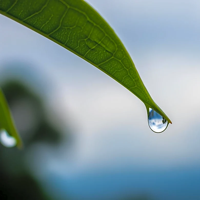 Los Angeles to Experience More Rain in April