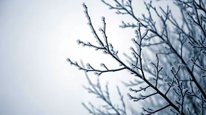 Cold Snap Grips Midwest, Bringing Freezing Temperatures and Snow