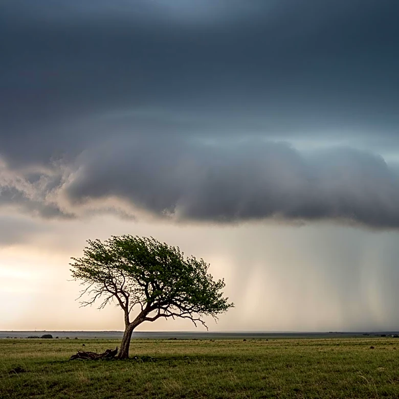 North Texas Braces for Rain and Potential Severe Weather This Week