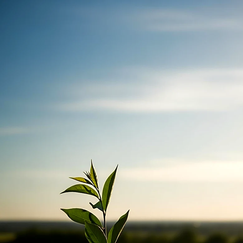 Syracuse Weather: Clear Skies and Mild Temperatures Expected