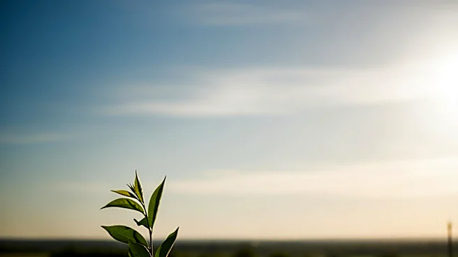 Syracuse Weather: Clear Skies and Mild Temperatures Expected