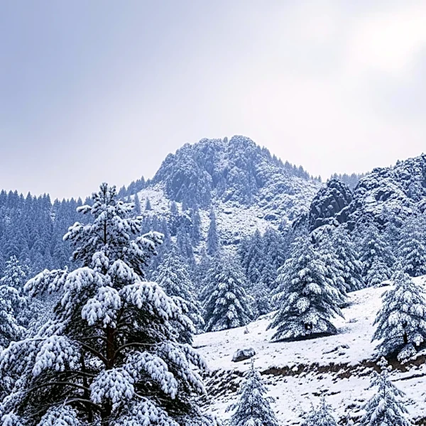 Snowfall Totals Across Colorado Following April Showers