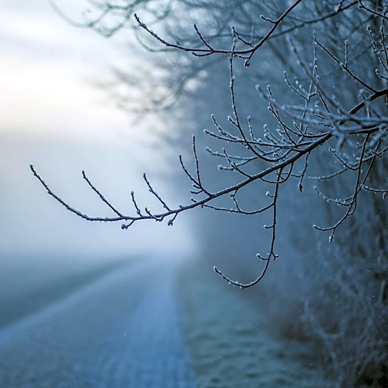 Snowfall in Potsdam Marks Unseasonably Cold April Morning
