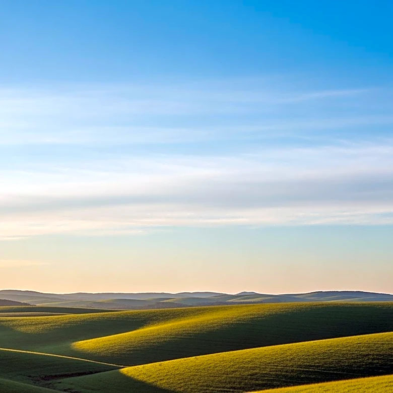 Clear Skies Expected in Laurens, SC with Mild Temperatures