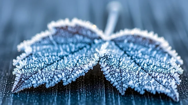 Cooler Temperatures and Freeze Warning for Pittsburgh Area