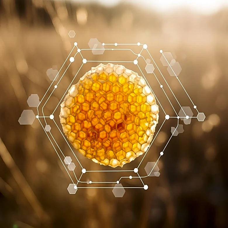 Increased Bee Swarms in Colorado Linked to Warm, Dry Winter