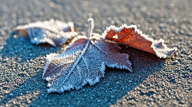 Chicago Faces Unseasonably Cold Weather with Potential Frost