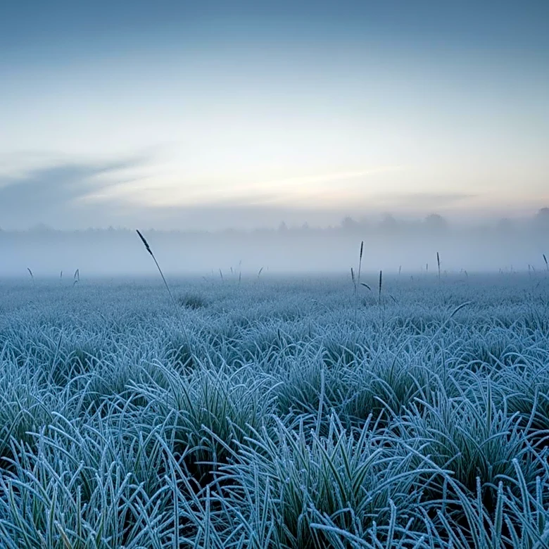 Cooler Temperatures Expected in Maryland to Start the Workweek