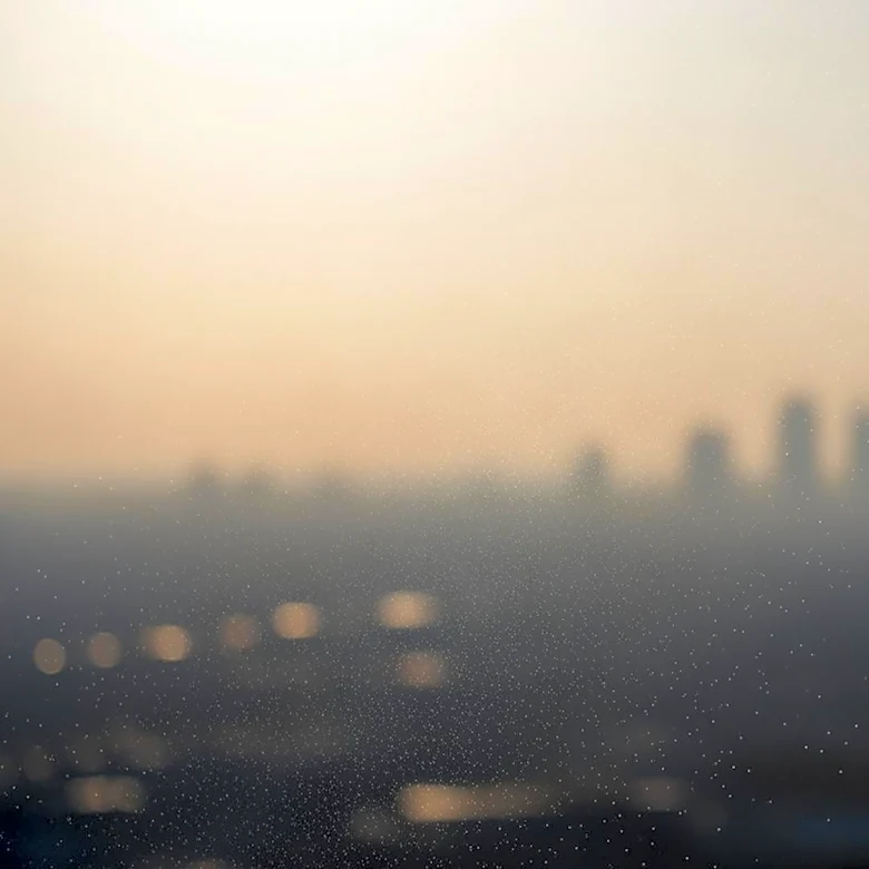 Air Quality Alert Issued for St. Petersburg, Florida Due to PM2.5 Pollution