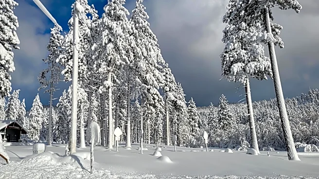 New storm boosts rain and snow across California