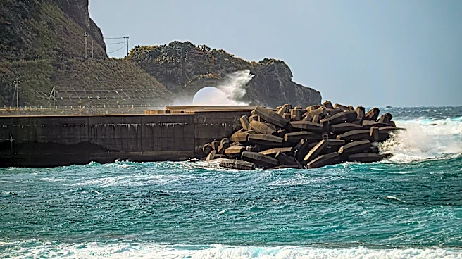 Powerful 7.4 quake hits Japan, tsunami warnings issued