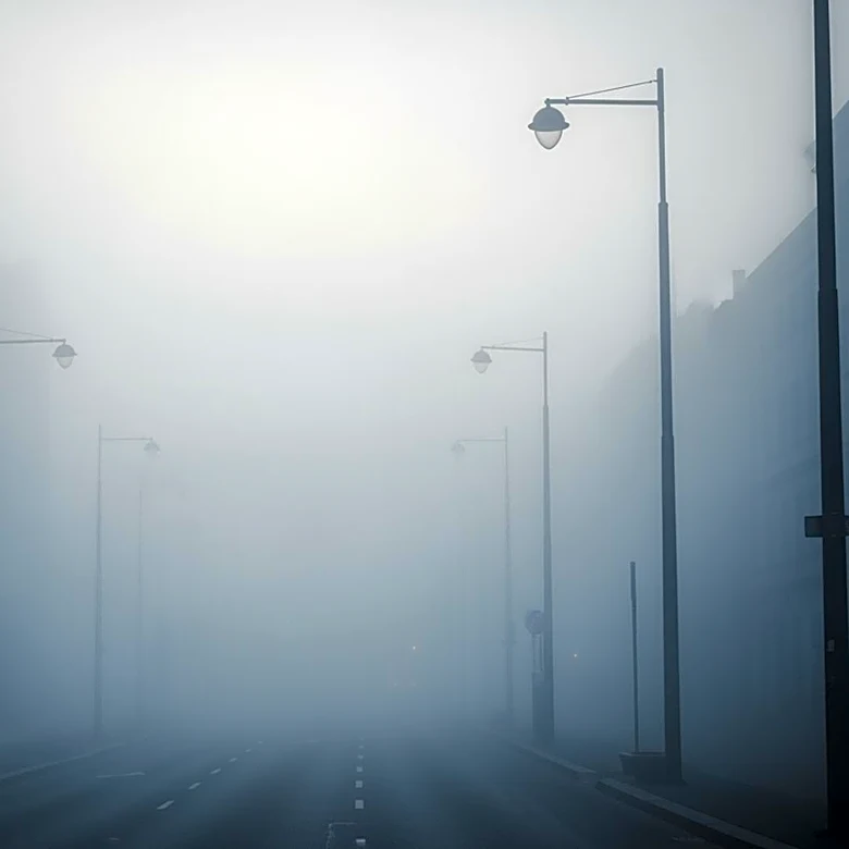 Seattle Fog: Dense Conditions Impacting Visibility