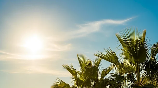 Orlando Weather: Warm and Sunny Conditions Expected for Upcoming Days