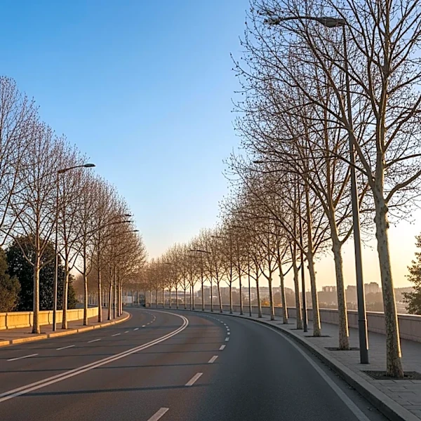 Cool and Dry Conditions for 2026 Boston Marathon
