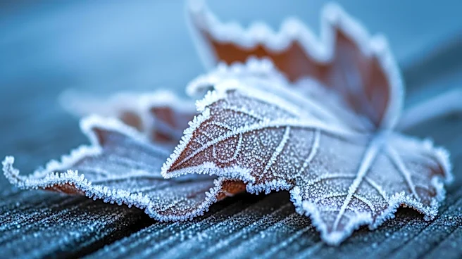 Freeze Warning Issued for Southern Connecticut as Temperatures Drop