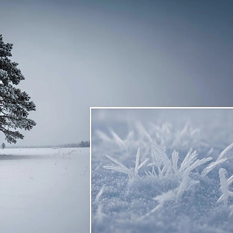 Arctic Blast Brings Frigid Temperatures to Northern U.S.