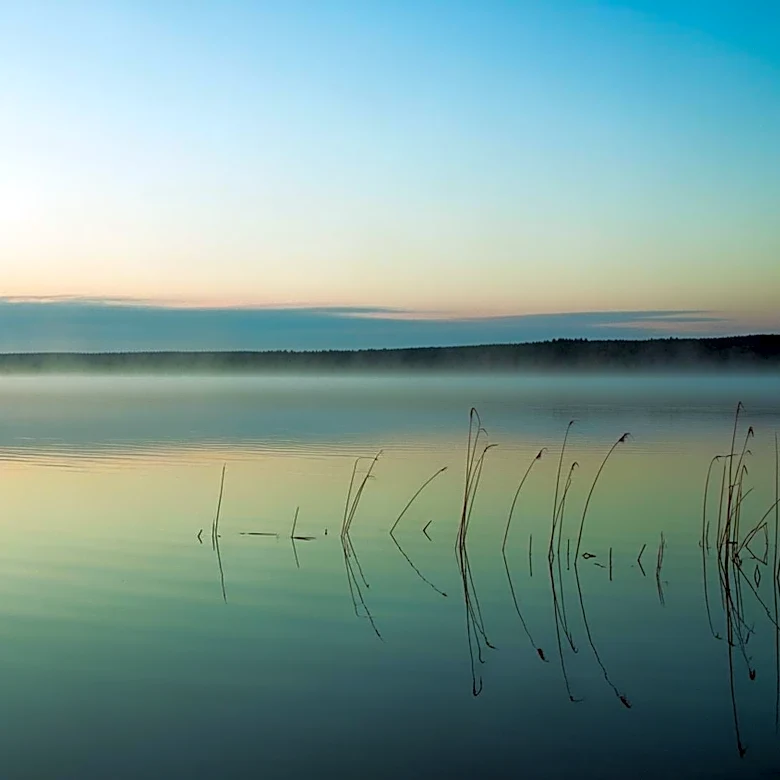 Green Bay Weather: Mild Conditions Expected This Week