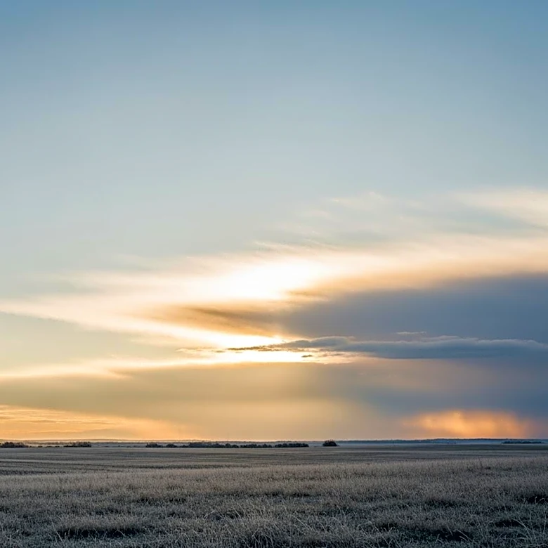 Dallas-Fort Worth: Cold Start, Warming Temperatures, and Midweek Rain
