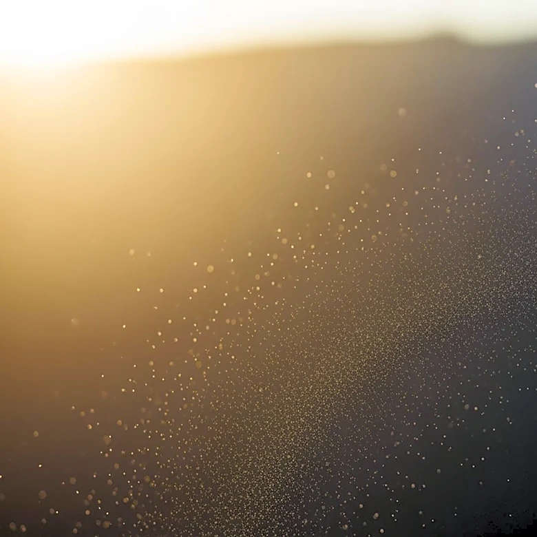 Air Quality Alert Issued for West-Central Florida Due to PM2.5 Pollution