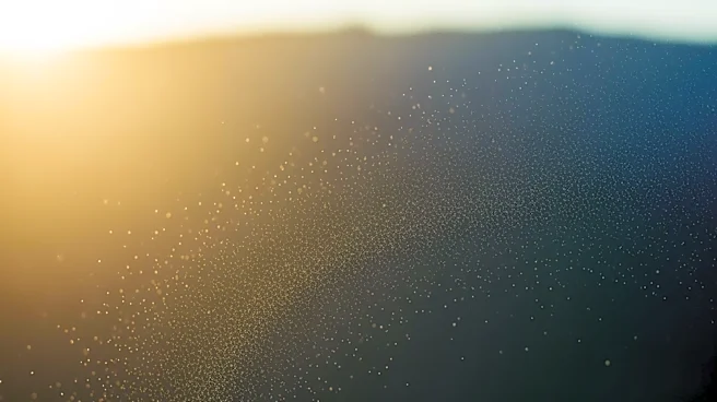 Air Quality Alert Issued for West-Central Florida Due to PM2.5 Pollution