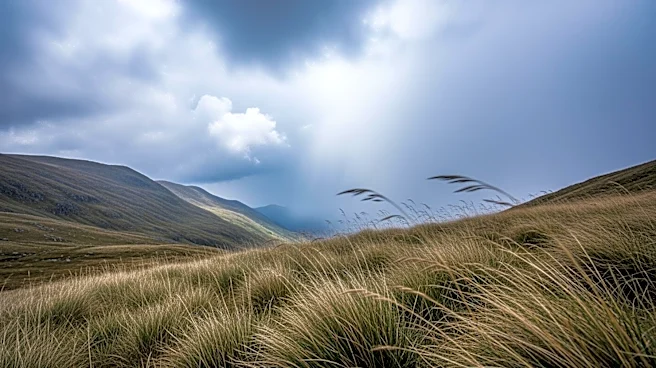 Montana Weather Forecast: Rain and Wind Expected This Week