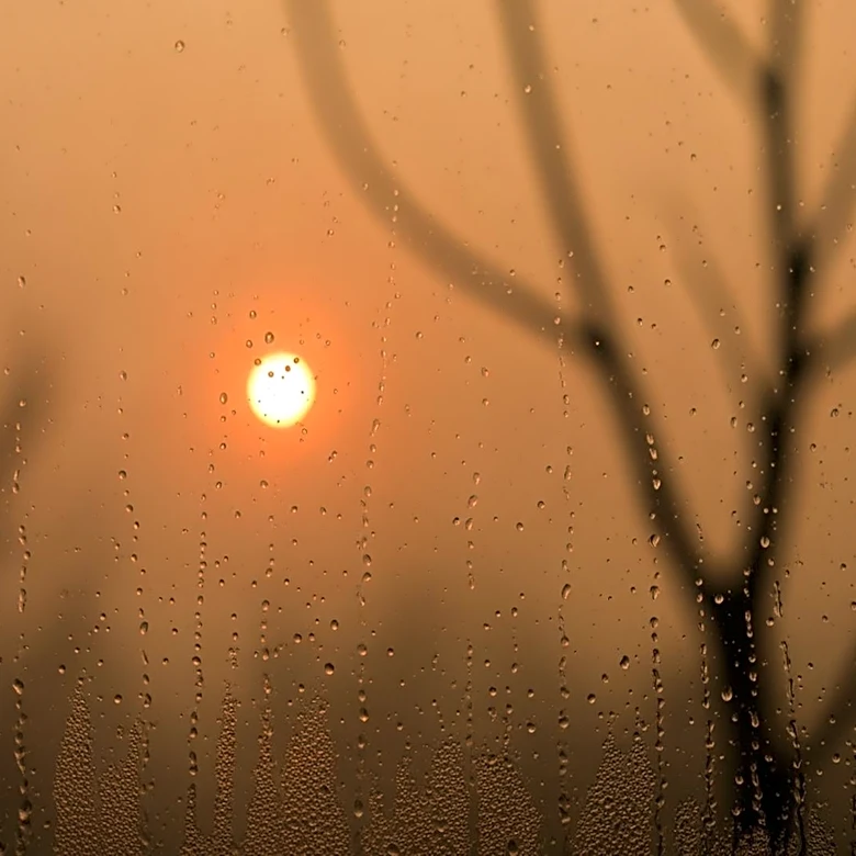 Wildfires and Poor Air Quality Prompt Indoor Advisory in Florida