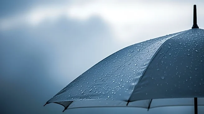 Seattle Weather: Mild Temperatures with Light Rain Expected