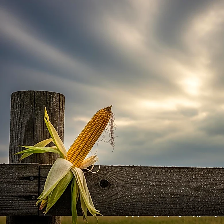 Northeast Farmers Face Challenges Due to Sudden Weather Changes