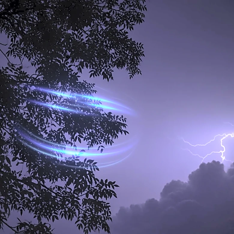 Treetops Emit UV Glows During Thunderstorms in North Carolina