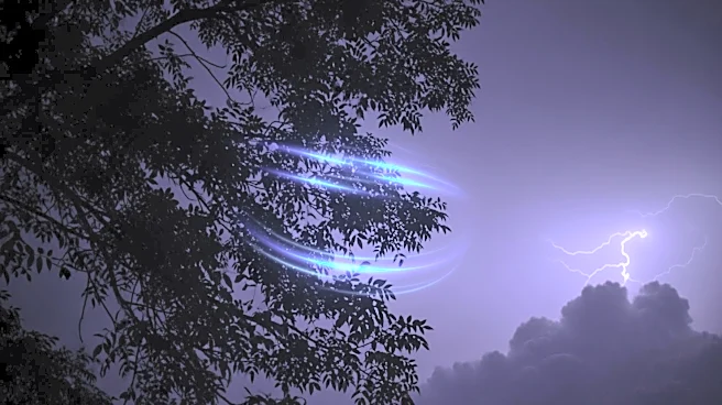 Treetops Emit UV Glows During Thunderstorms in North Carolina