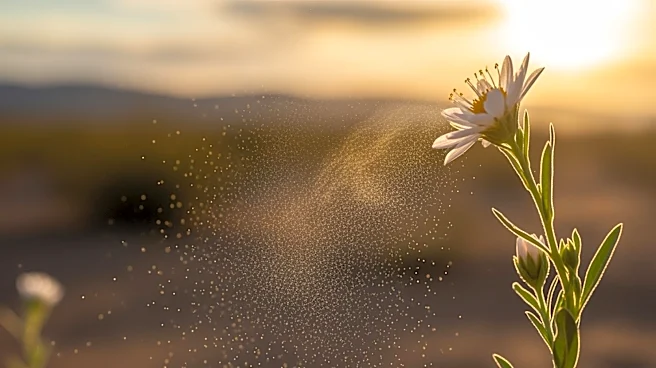 Allergy Season Intensifies in Sonoran Region Amidst Weather Changes