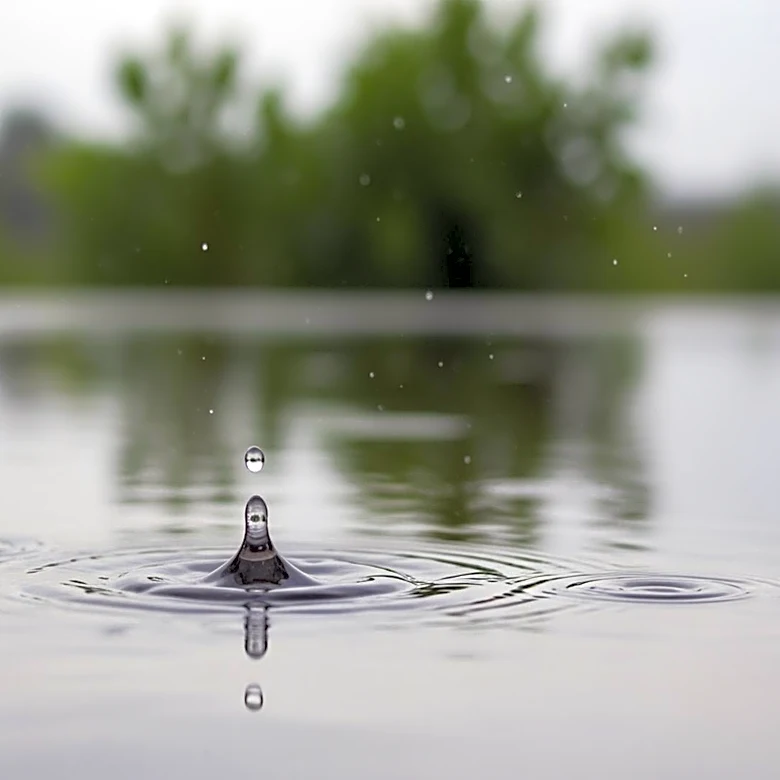 Showers Expected in Metro Detroit with Mild Temperatures