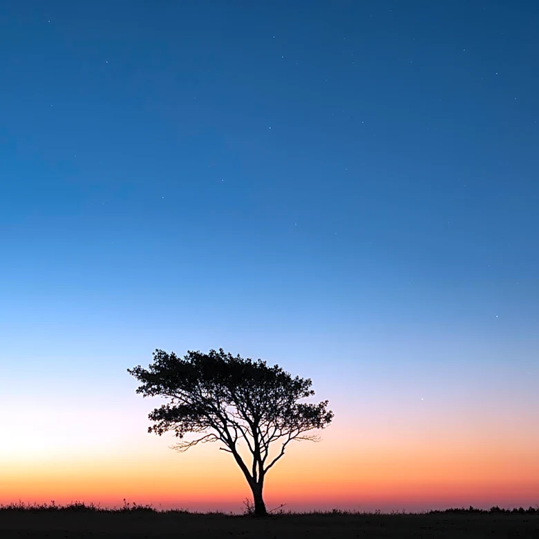 Omaha Weather Forecast: Clear Skies and Mild Temperatures Expected