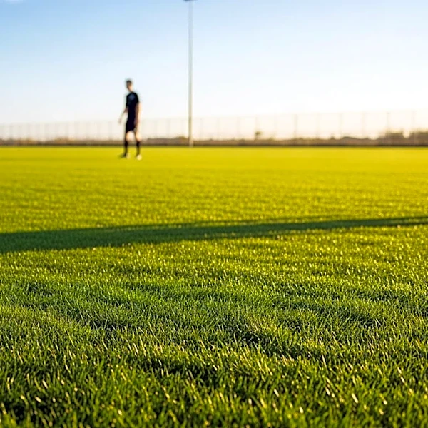 Twin Cities Weather: Ideal Conditions for Outdoor Sports