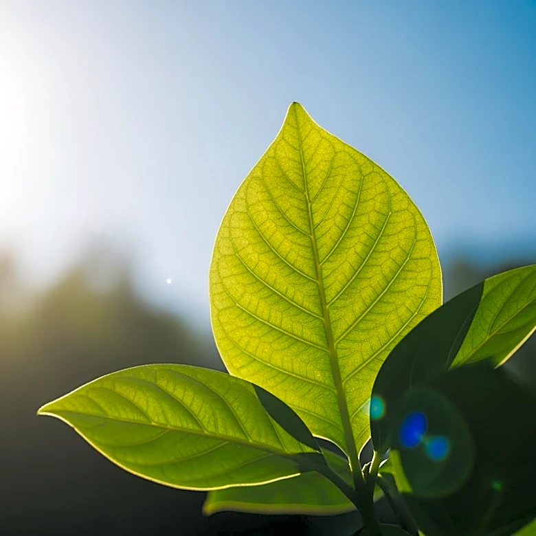 Sunny Skies Expected for Gallatin Valley Earth Day Festival