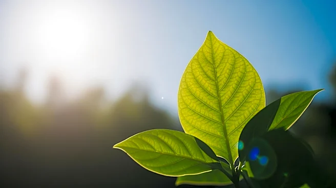 Sunny Skies Expected for Gallatin Valley Earth Day Festival