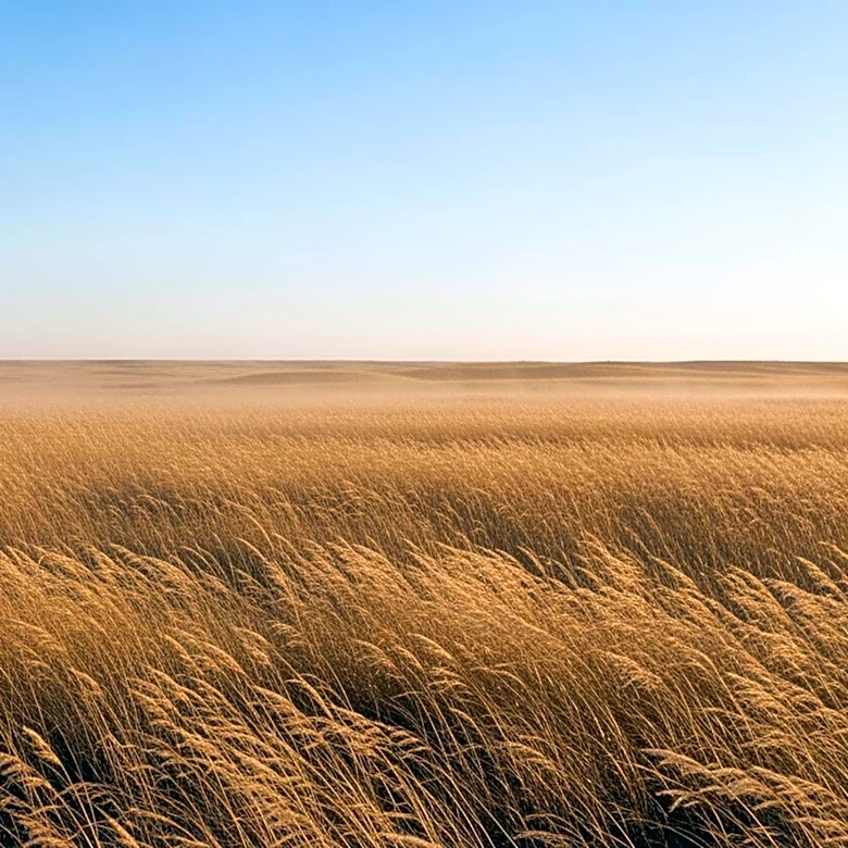 Dry Weather and High Winds Expected from Nebraska to Texas
