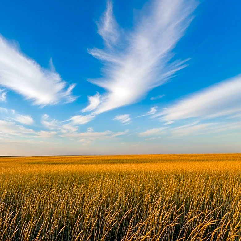 Minnesota to Experience Hot and Breezy Conditions on April 22, 2026