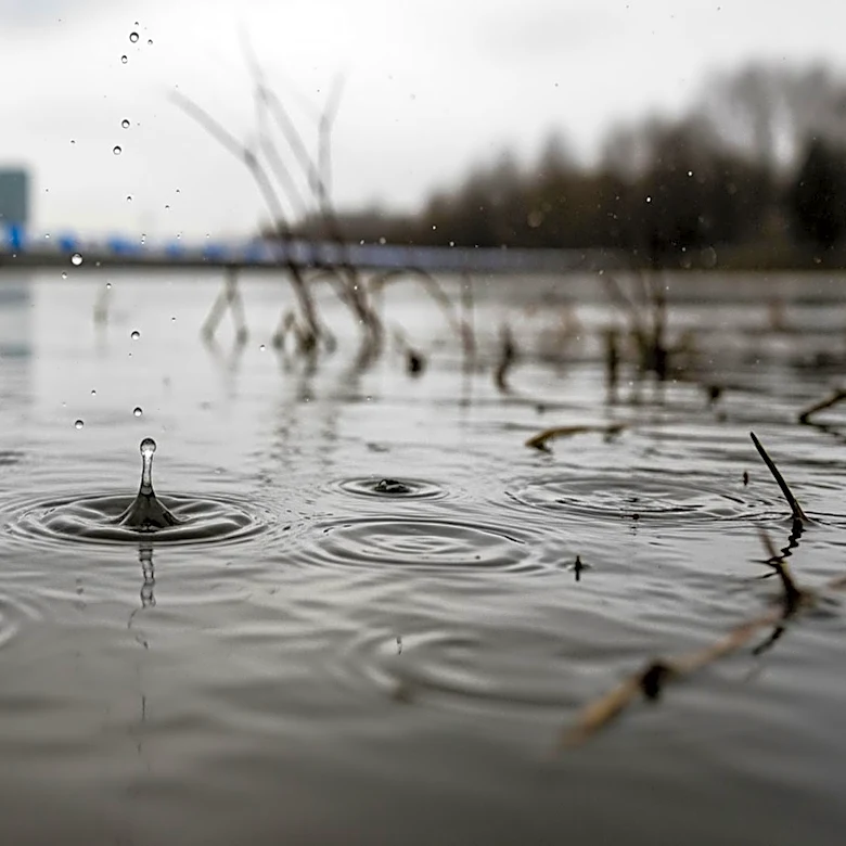 Chicago Faces More April Showers Amid High River Levels