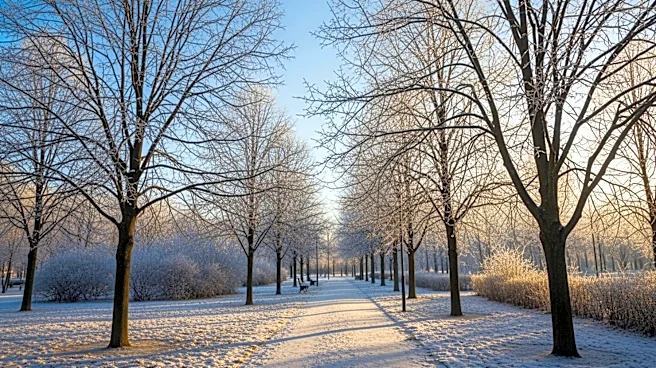 Cold Weather Lingers in New York with Sunny Afternoon Expected