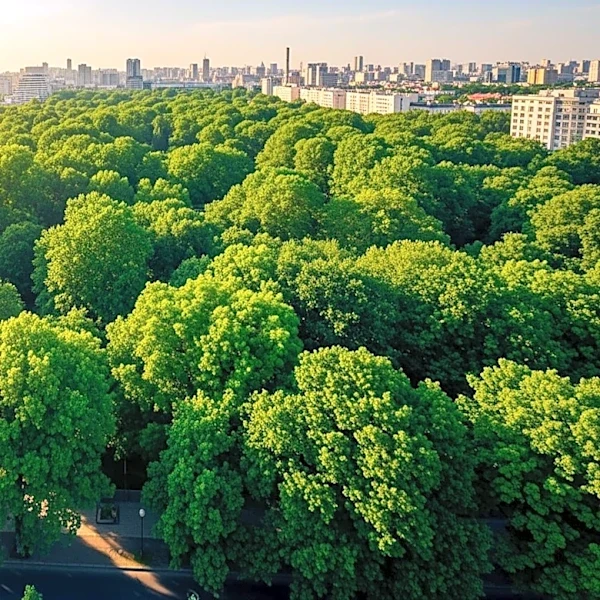 New York City Unveils Urban Forest Plan to Combat Heat